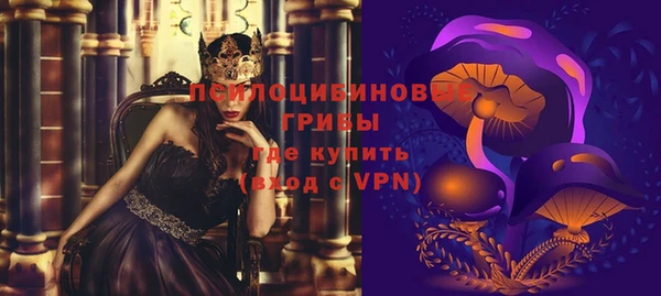 гидра Алексеевка