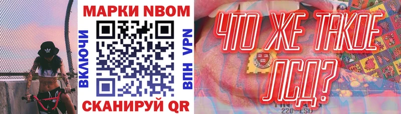 где найти   Бежецк  Марки N-bome 1,8мг 